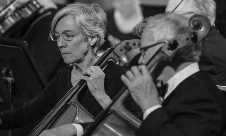 MEET THE MUSICIANS - Frederick Symphony Orchestra